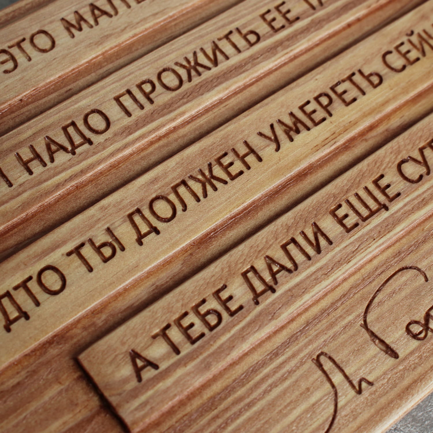 Мотивирующая цитата Максима Горького «День - это маленькая жизнь и надо прожить ее так, будто ты должен умереть сейчас, а тебе дали еще сутки»