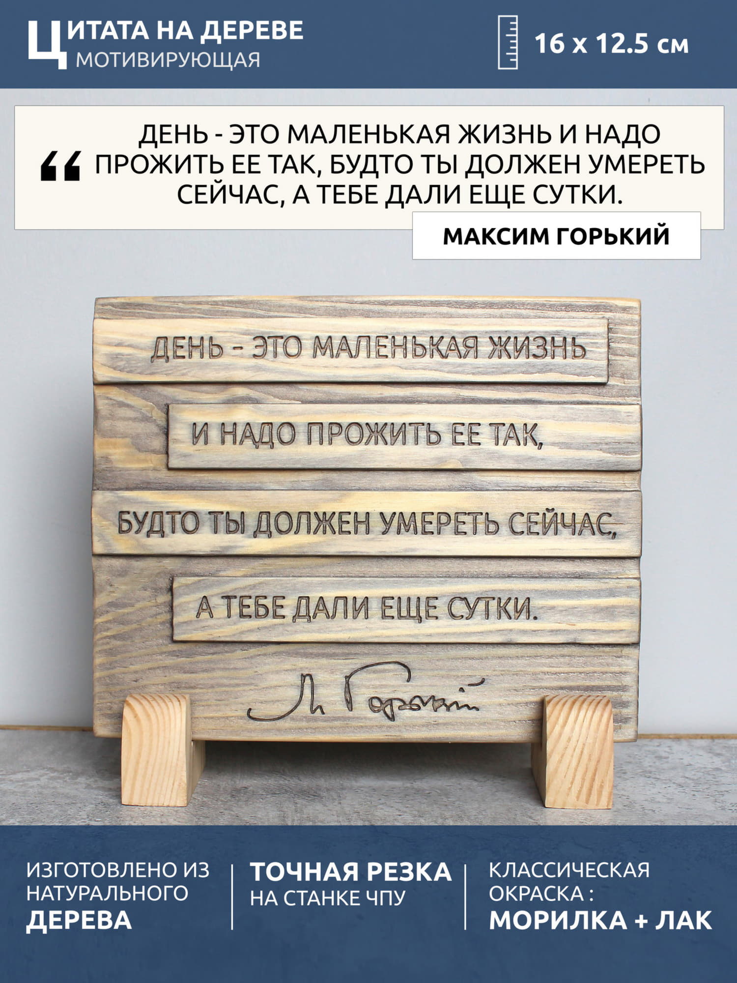 Мотивирующая цитата Максима Горького «День - это маленькая жизнь и надо прожить ее так, будто ты должен умереть сейчас, а тебе дали еще сутки»